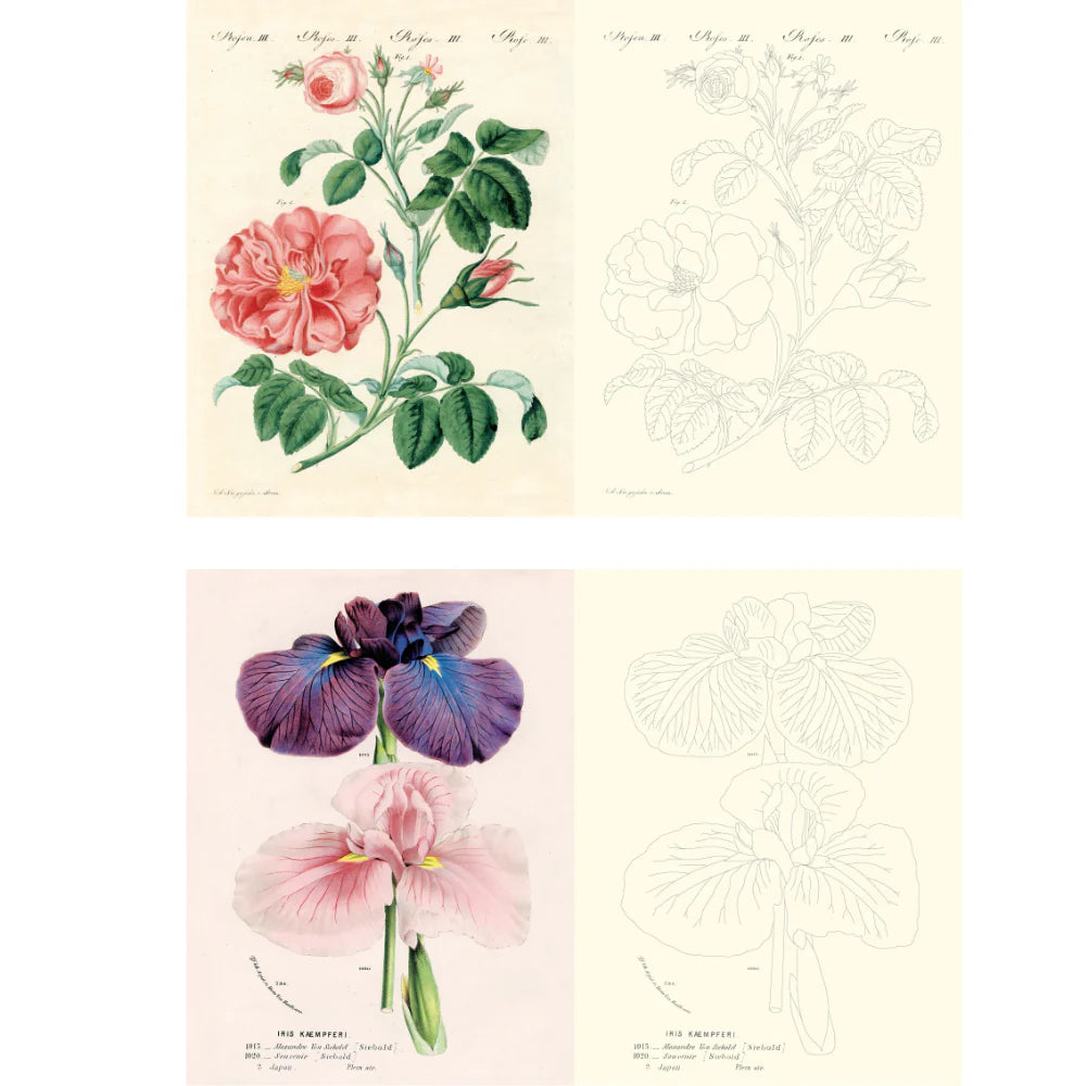 John Derian Colouring Book: Flowers