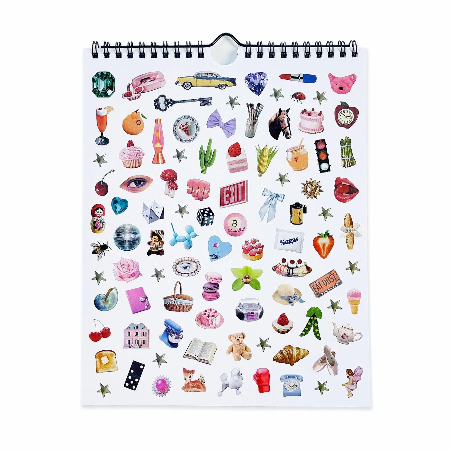 Pipsticks x Haricot Vert Dreamworld 2027 Wall Calendar