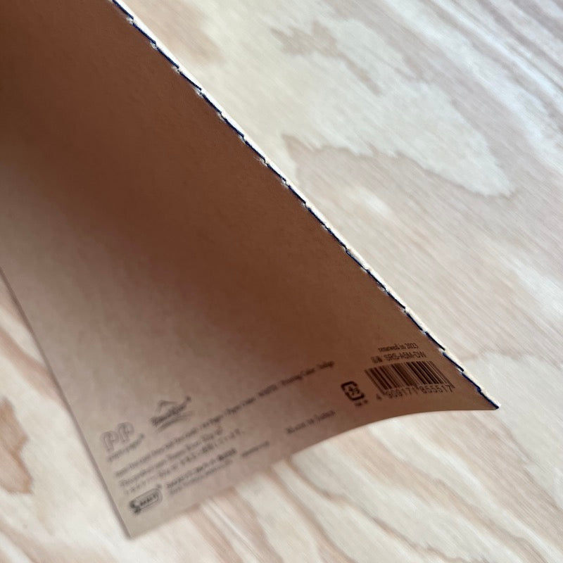 Tomoe River FP Notebook A5