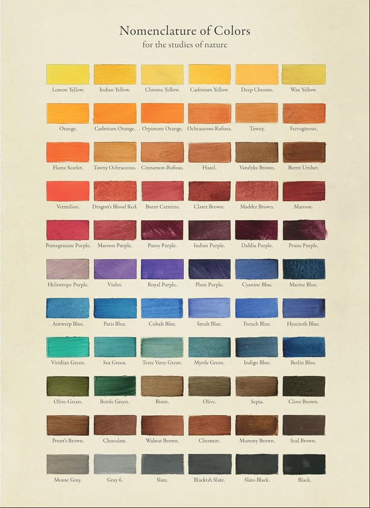 The Collage Compendium