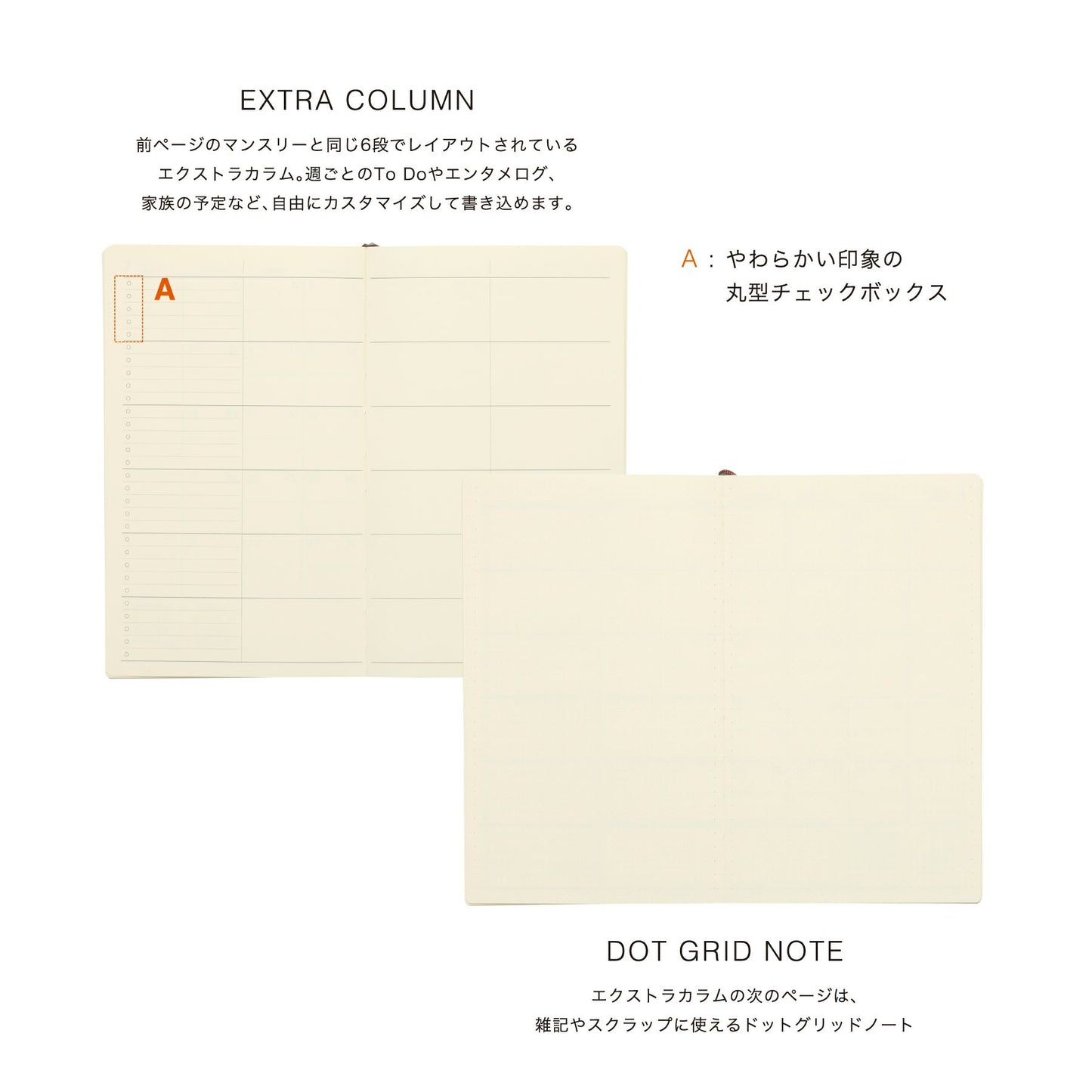 Hightide Shine Monthly Diary 2026 (VARIOUS COLOURS)