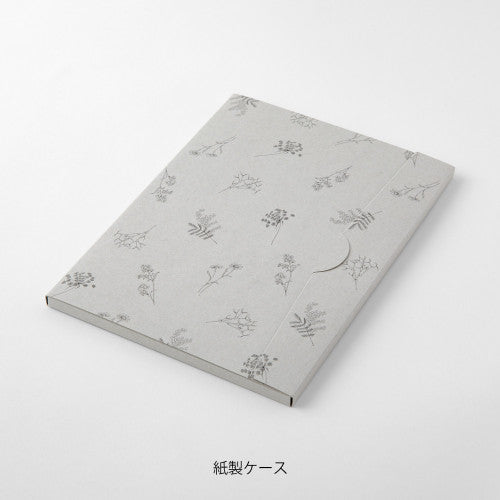 Midori Letter Set: Cream Laceflower