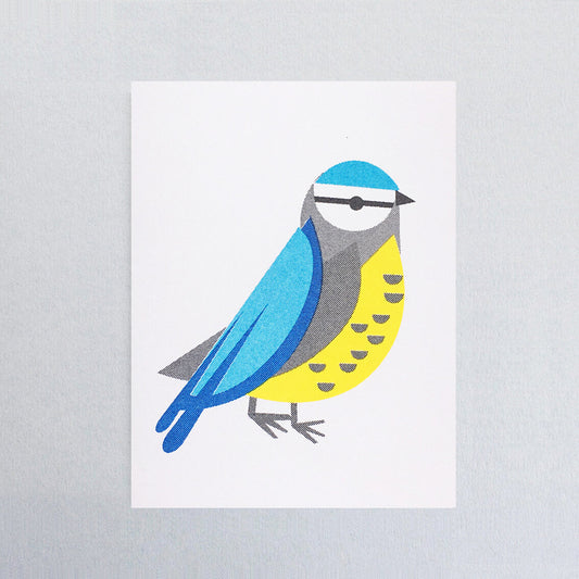 Blue Tit Mini Card